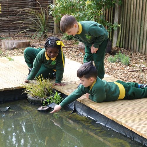 Children Inspecting Water In A Garden