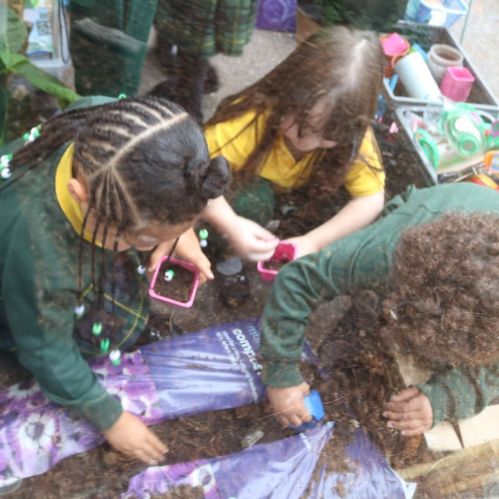 Children Planting Flower With Compost